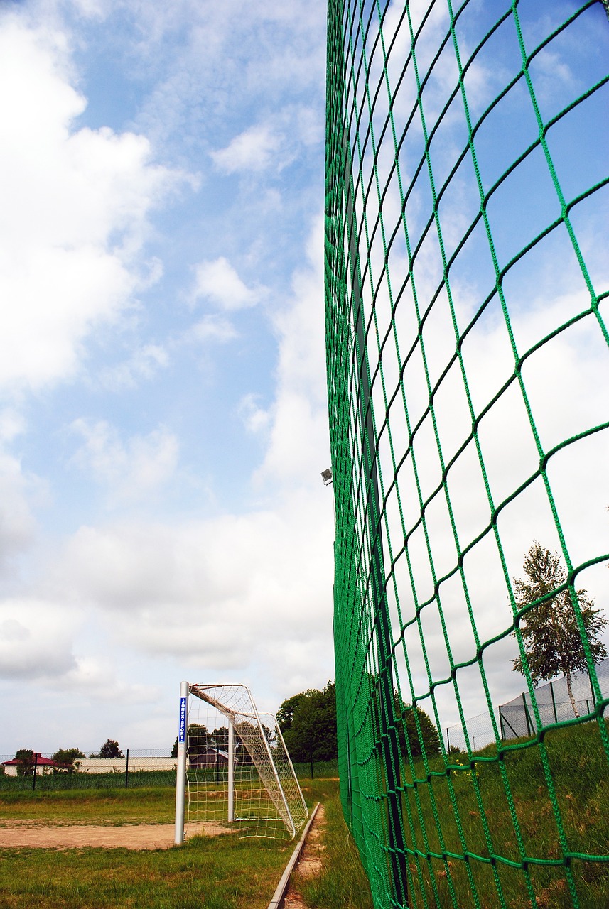 C罗计划一 C罗计划一