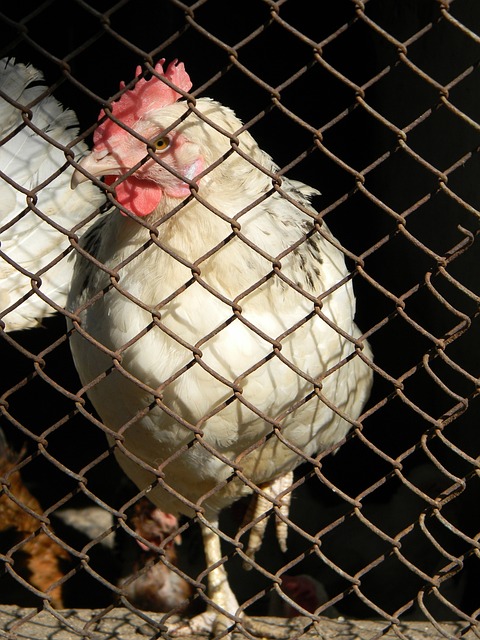 上依旧出色 上依旧出色